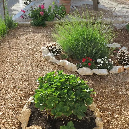 Plaza Divuje Apartman Murvica