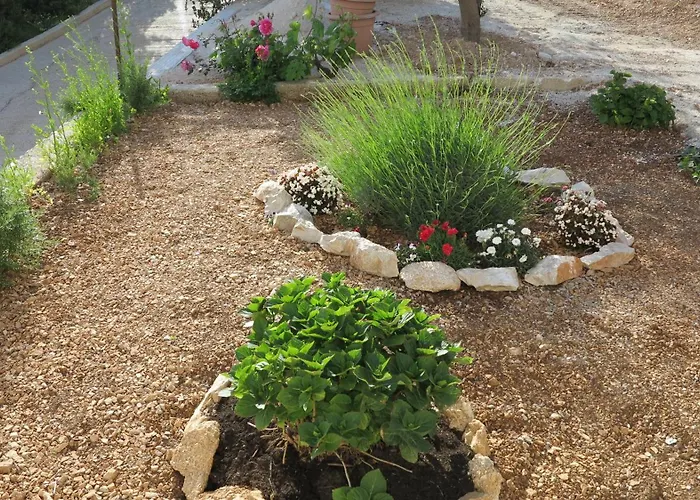 Plaza Divuje Appartement Murvica (Brac)